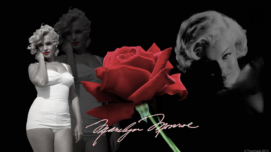 Marilyn Monroe Rose Wallpaper By Thetruemask