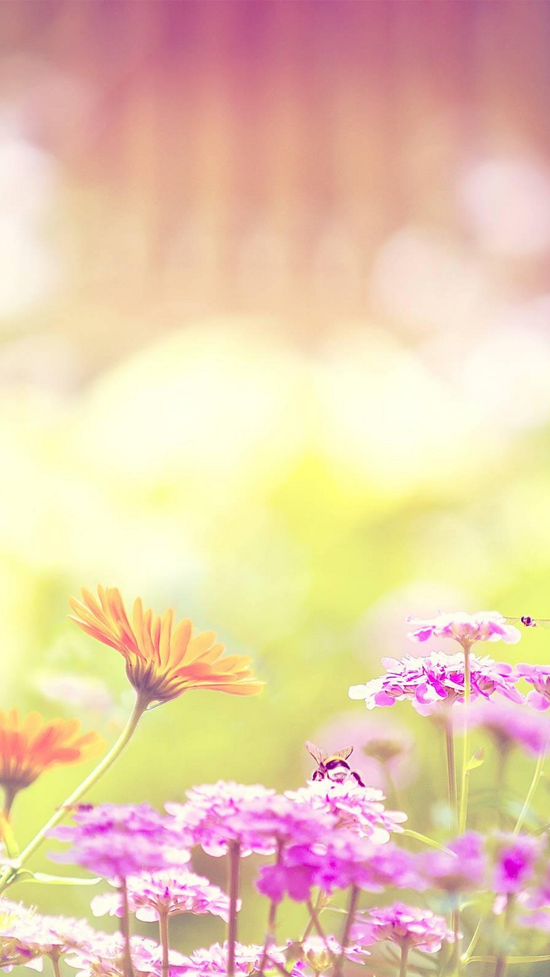 Spring Zen Free Live Wallpaper Available In The Android Market   TalkAndroidcom