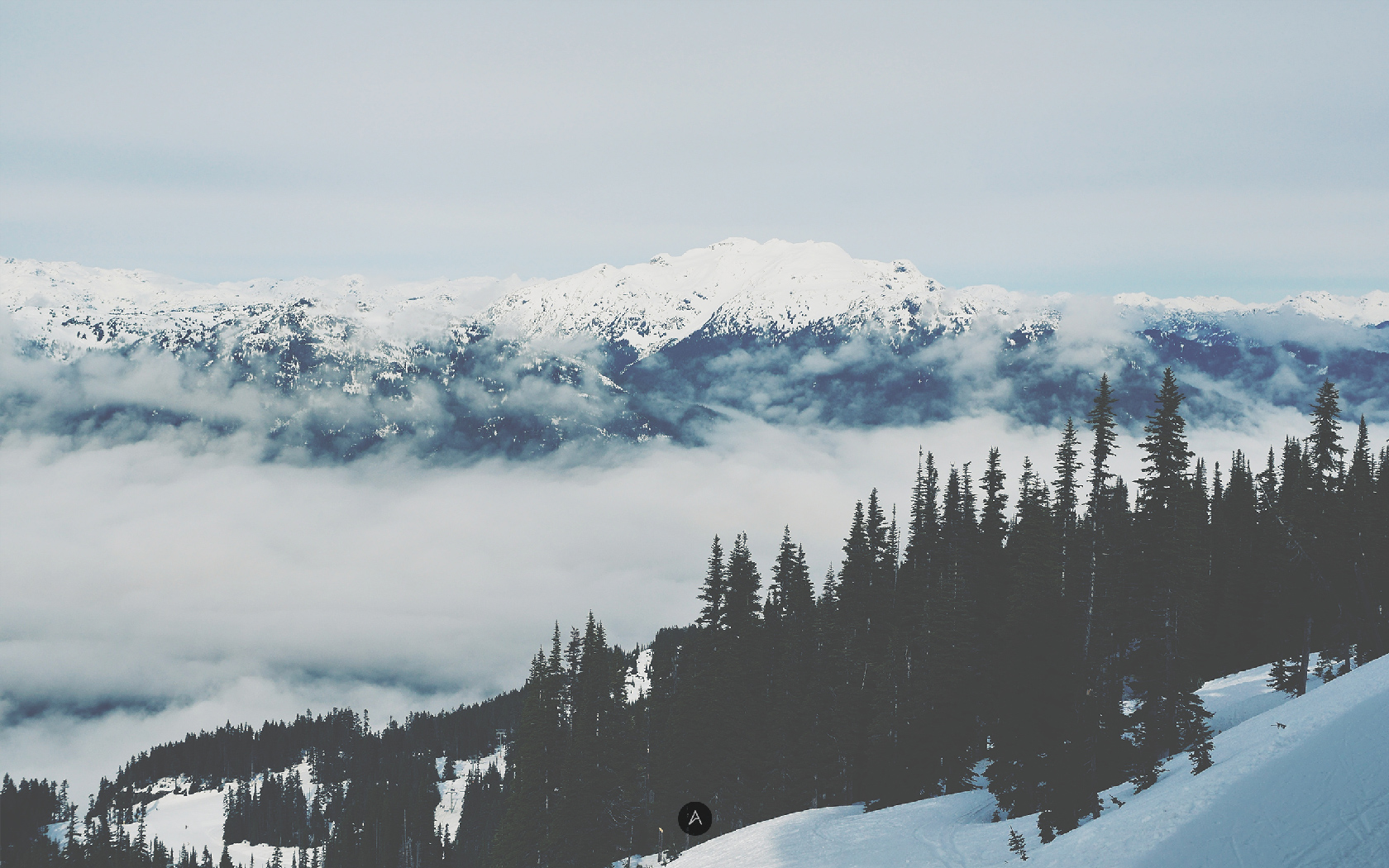 Wallpaper Of The Week
