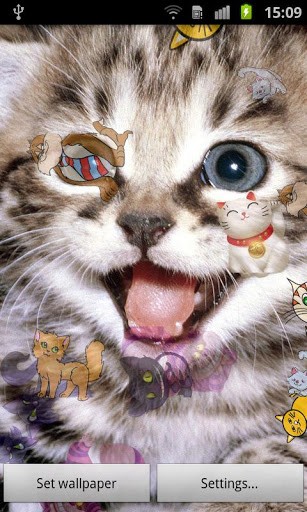 Ingrandisci La Schermata Di Gatti Cuccioli Sfondo Animato Per Android