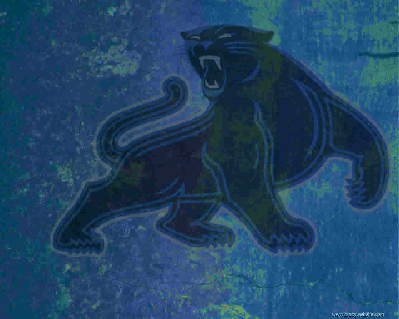 Carolina Panthers Nfl Football Wallpaper Vunzooke
