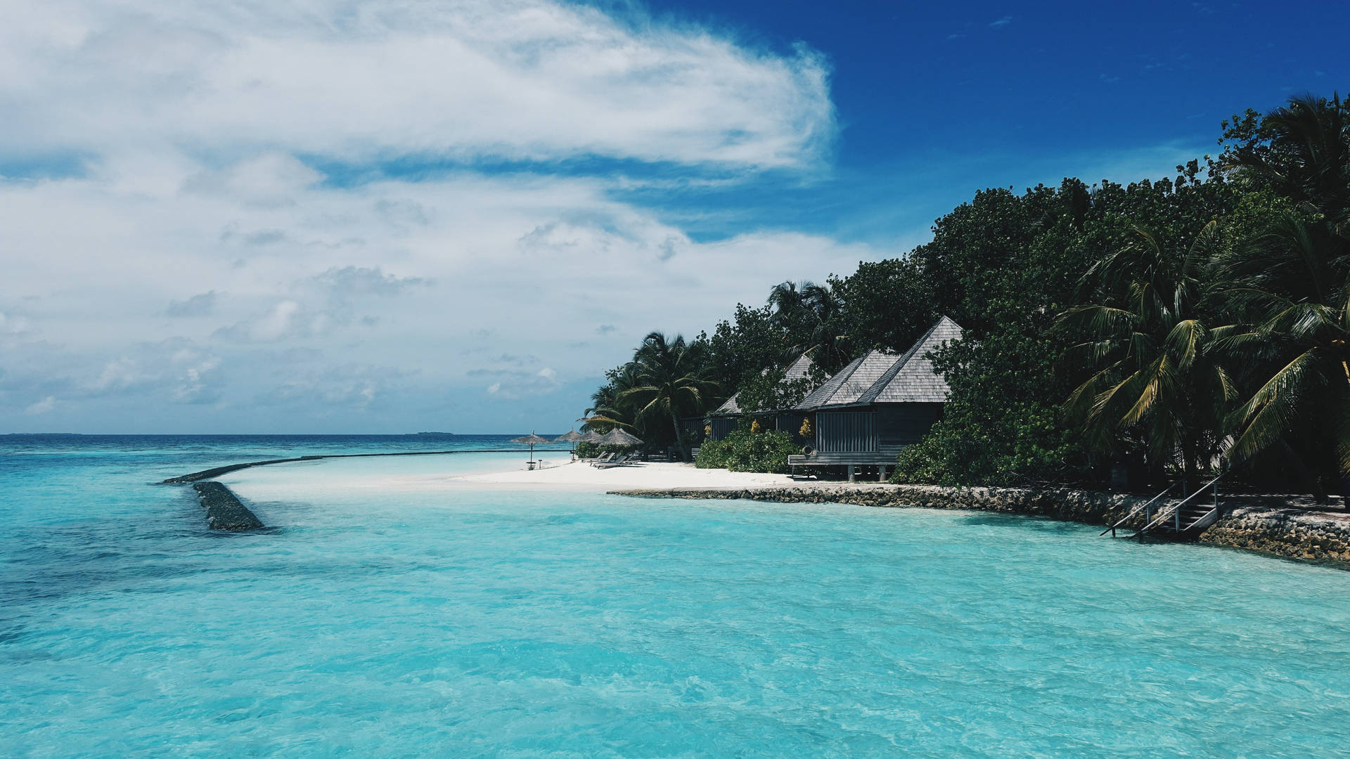 Tropical Desktop Wallpaper