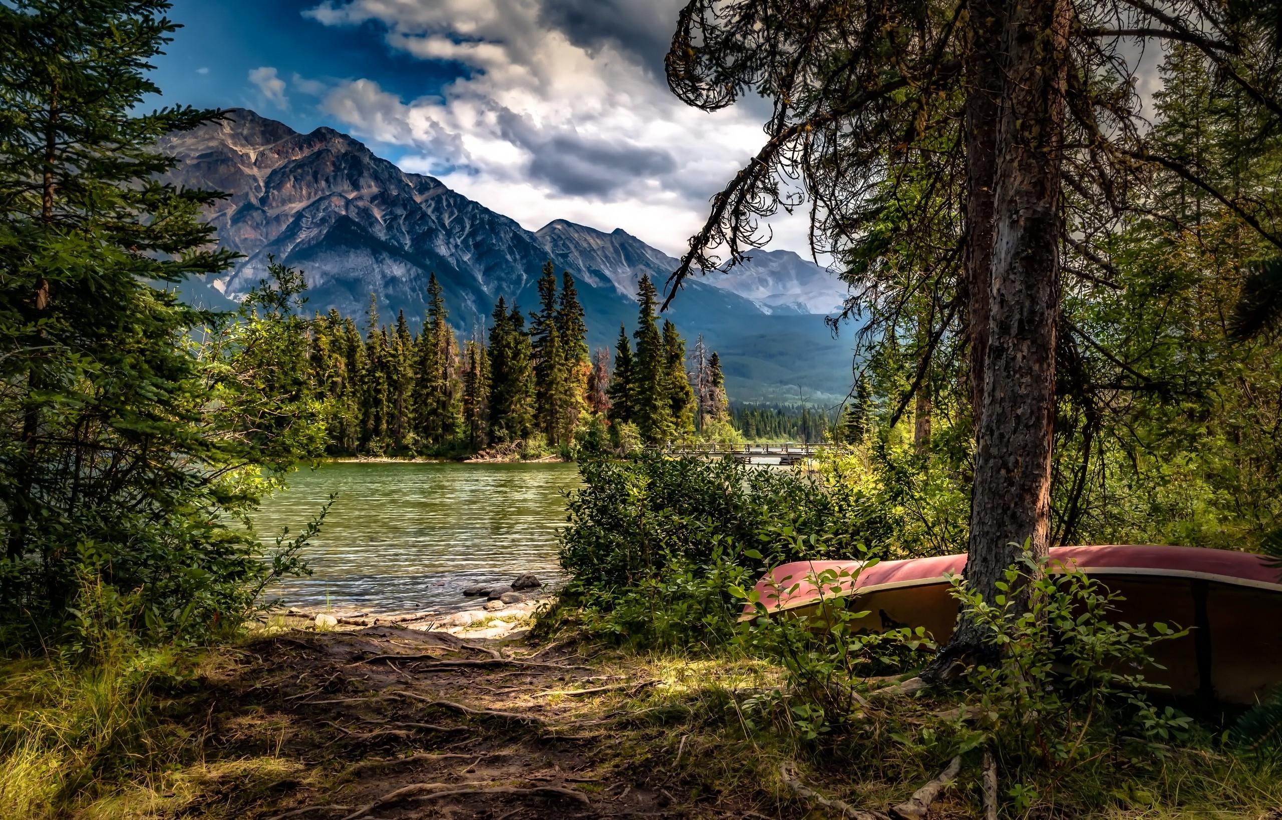 Wallpaper Lake 4k HD Mountains Forest Pine Nature Landscape