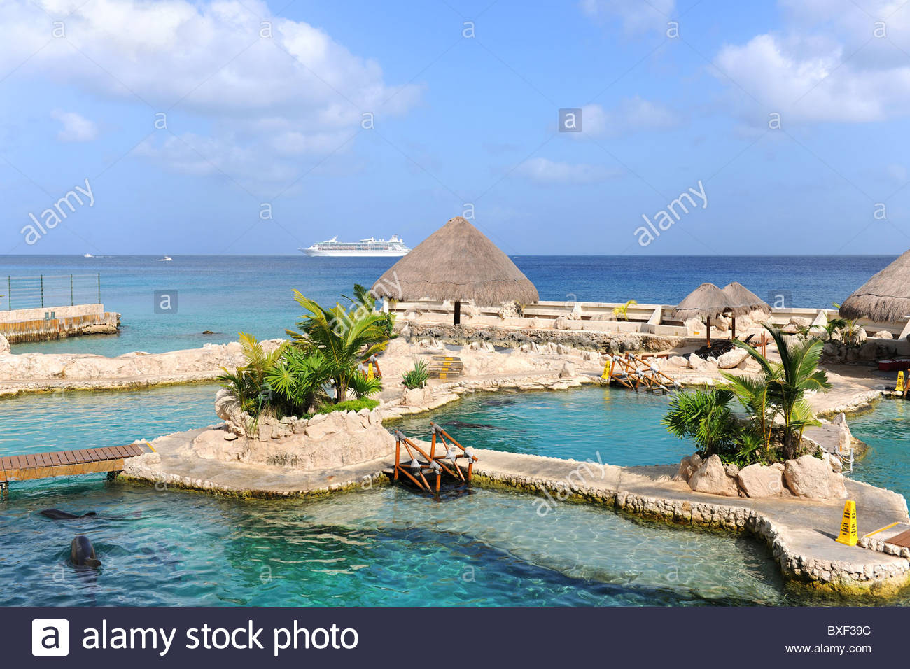 Dolphinarium In Cozumel Mexico With Cruise Ship Background