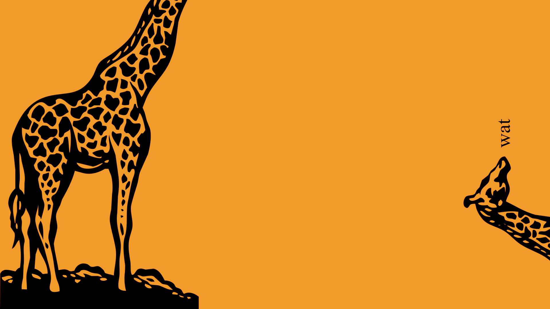Giraffe Funny Animal HD Wallpaper