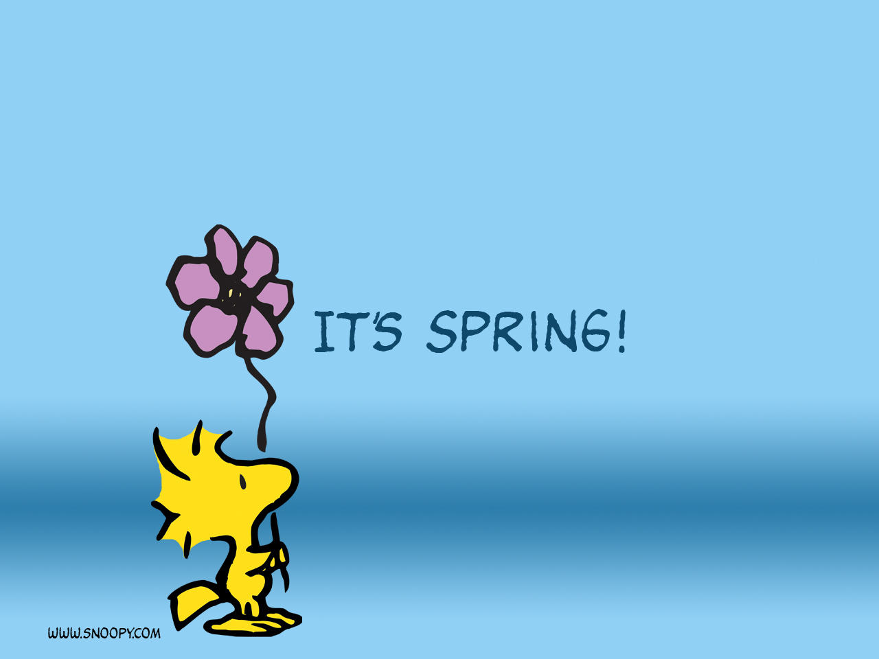 Snoopy spring time HD wallpaper  Pxfuel