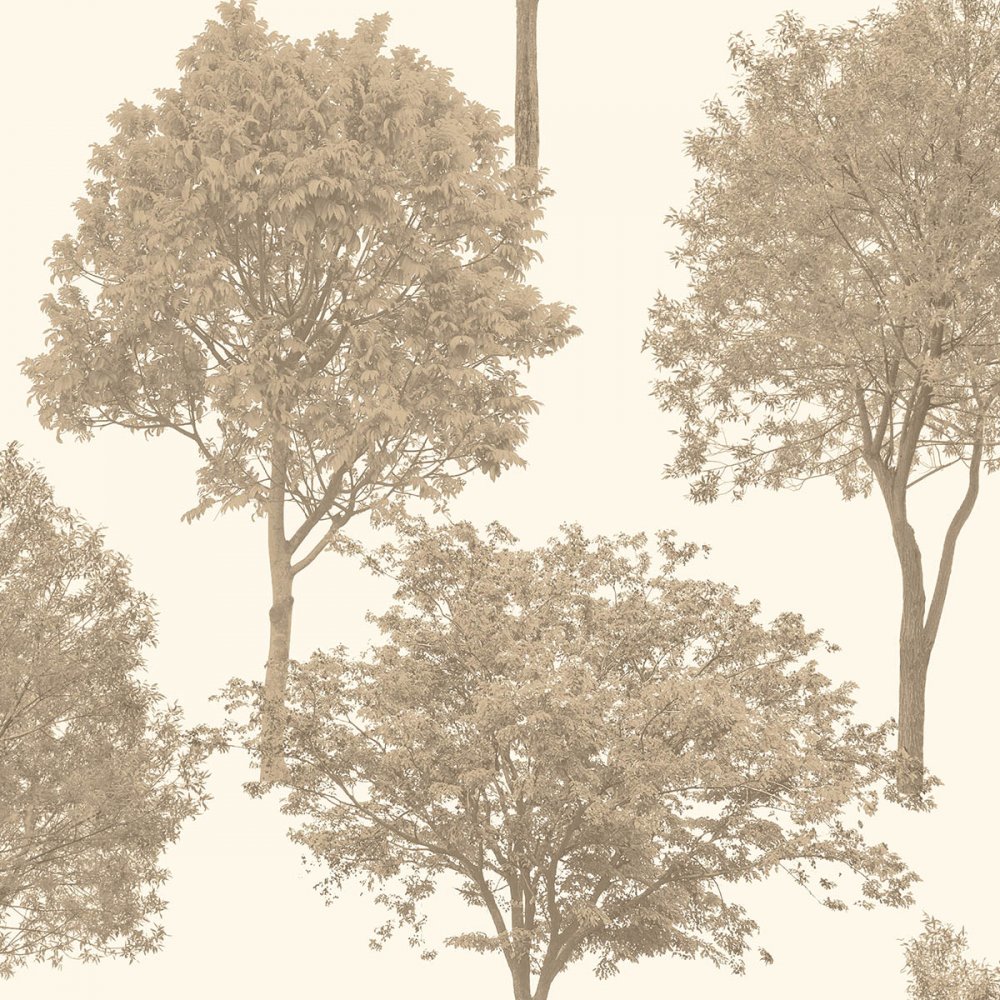 Wallpaper Fine Decor Woodland Trees