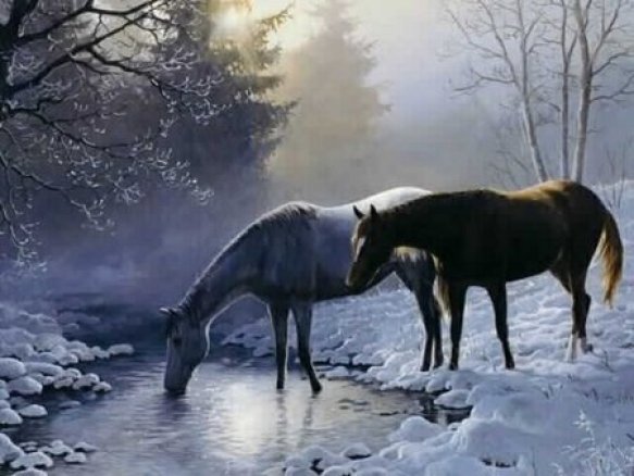 Winter Horses With In The Nature Snow Trees River