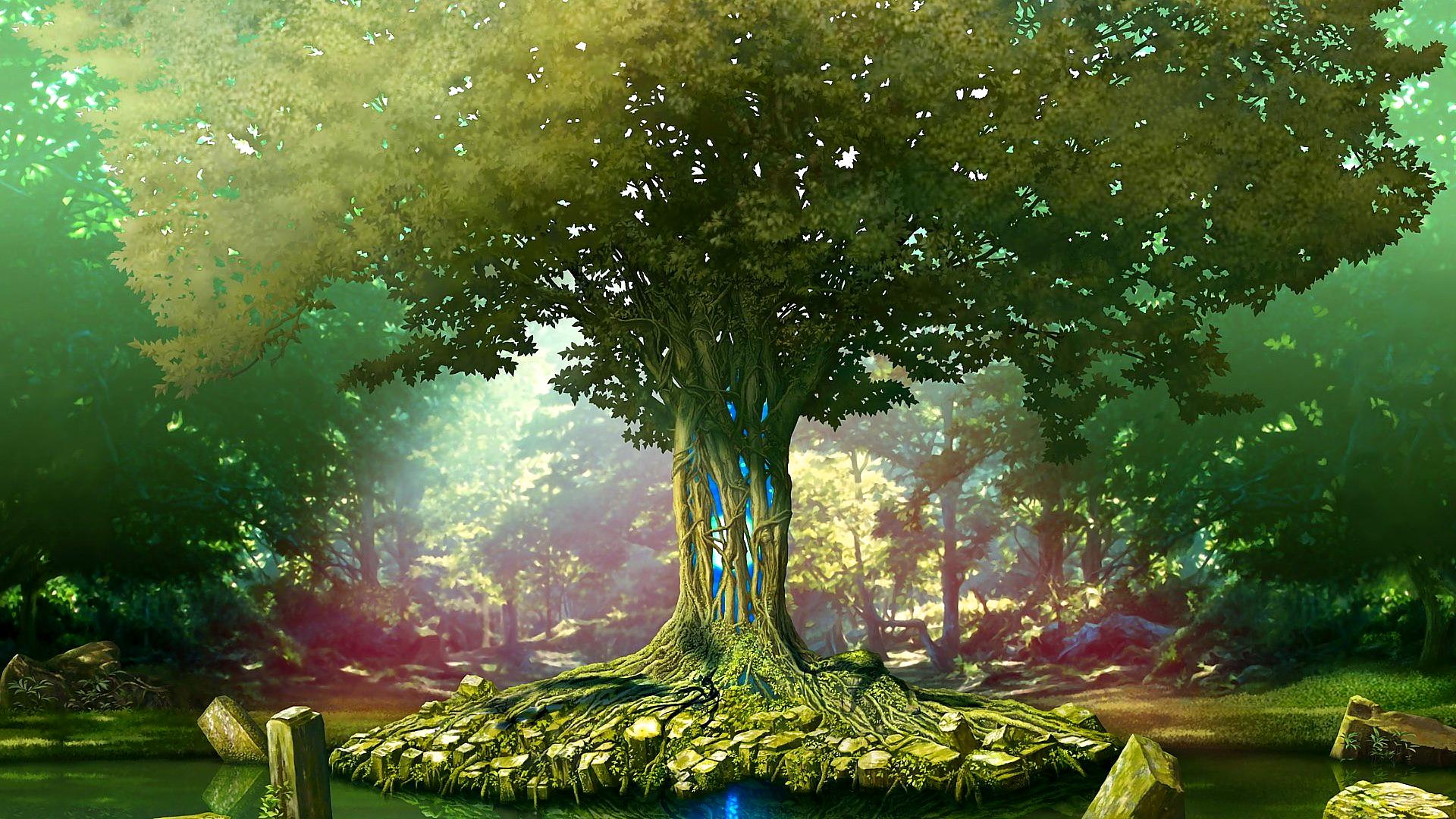 Tree Of Life HD Wallpaper