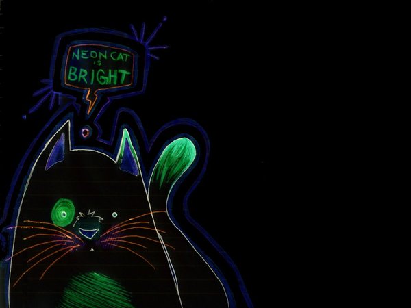 Neon Cat Wallpaper Dark By Jimmyeatfood