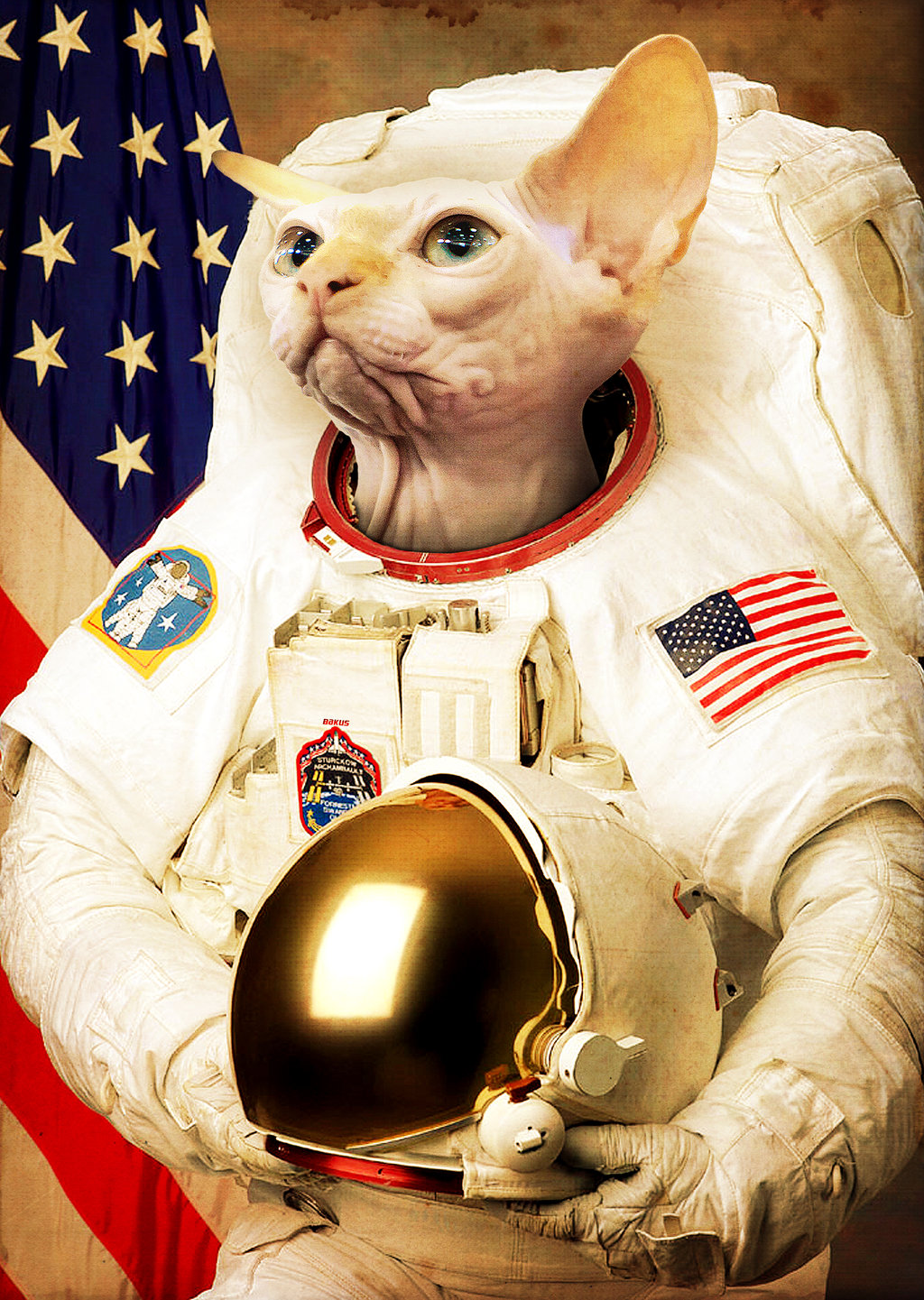 Astronaut Cat by Bakus design