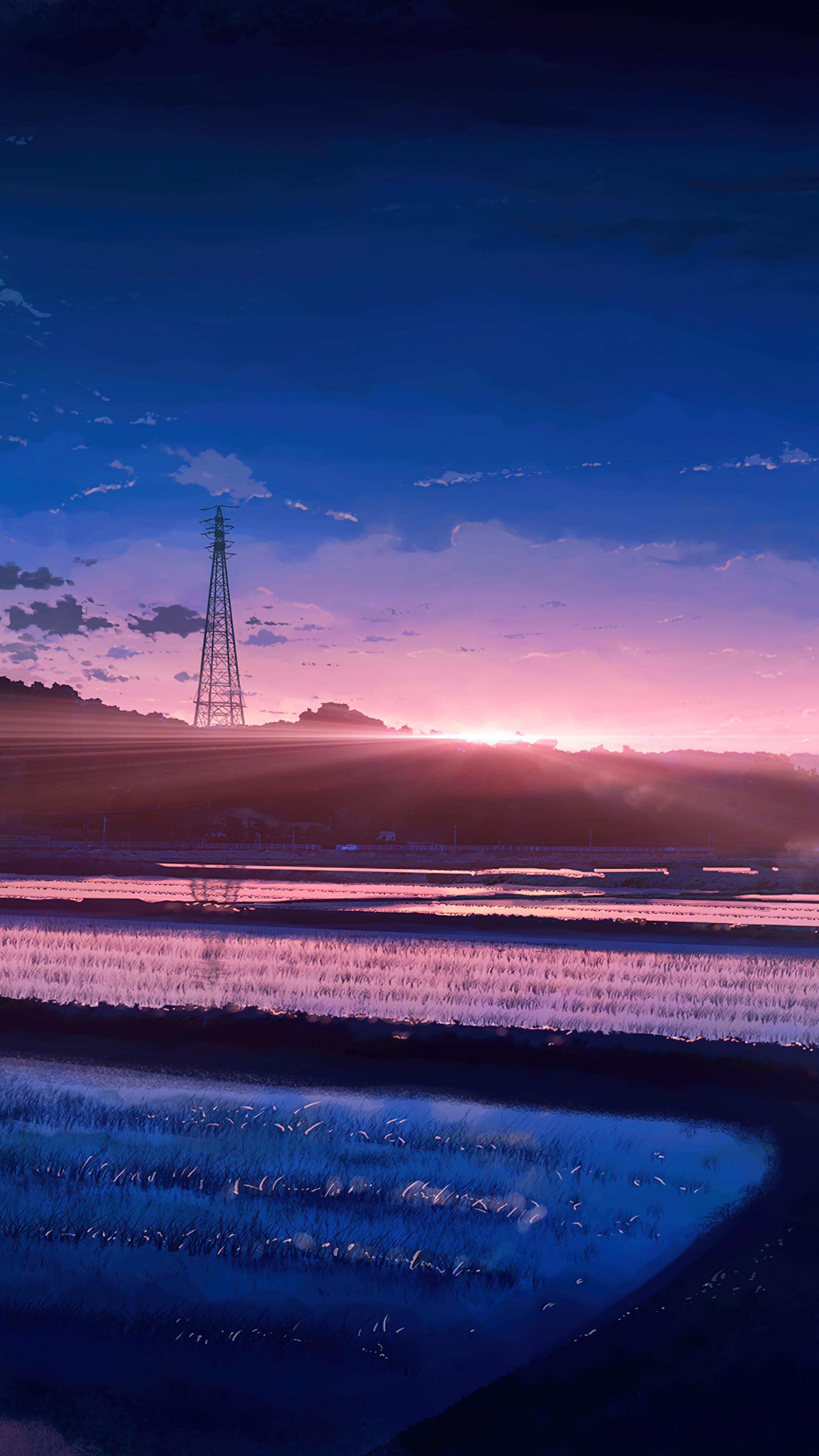 Sunrise Cherry Blossom Rice Field Anime Scenery 4k Wallpaper
