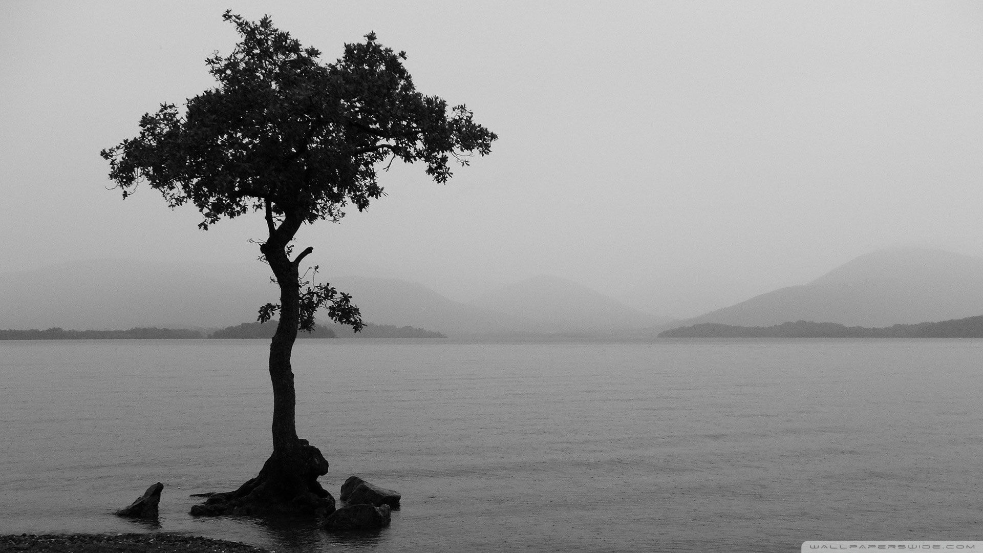 HD Black And White Wallpaper