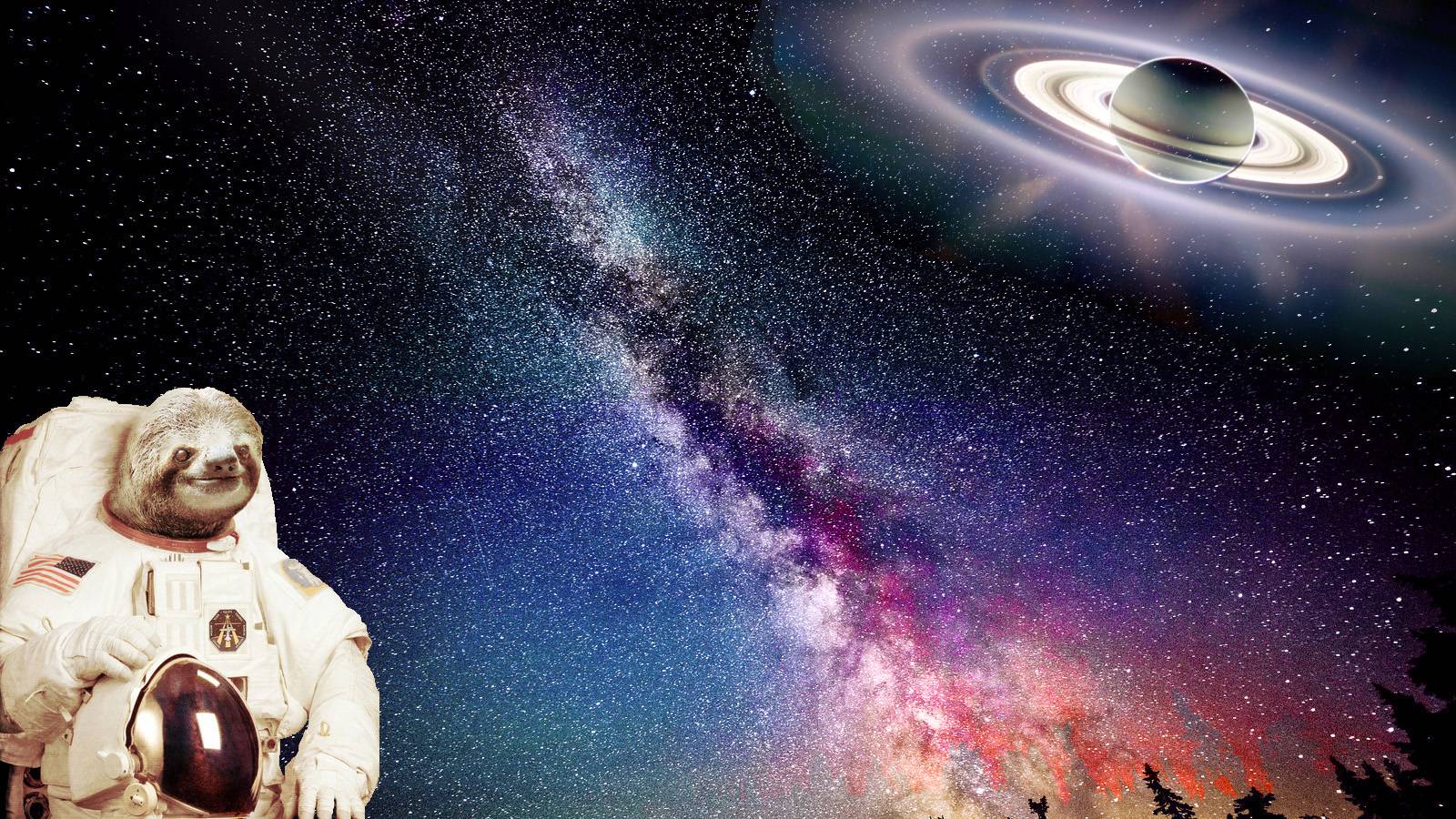 Space Sloth 1600x900