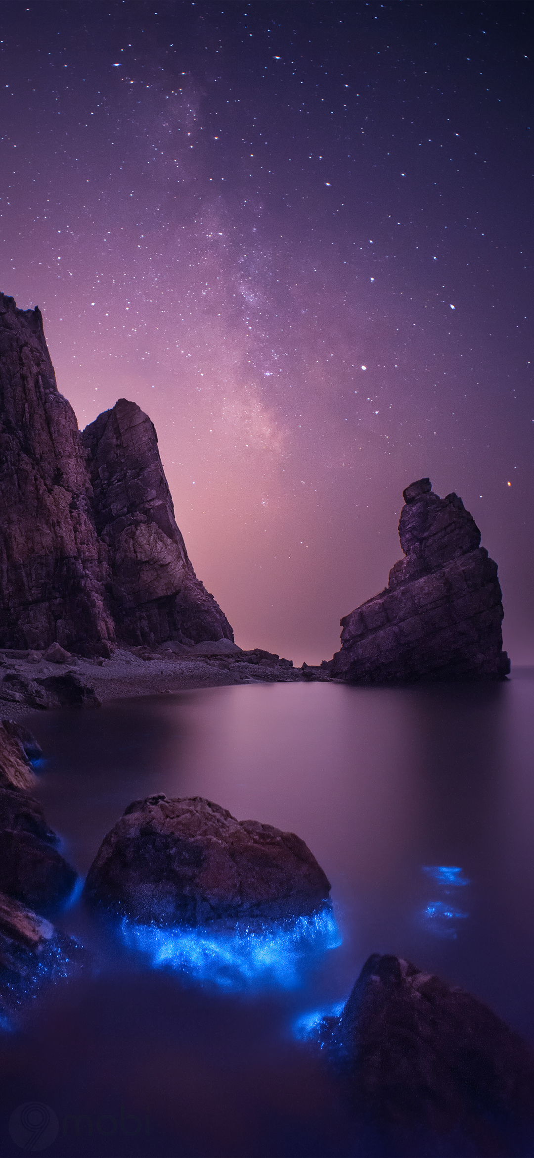 Stunning night landscape with cliffs, glowing blue bioluminescent plankton, and a purple starry sky