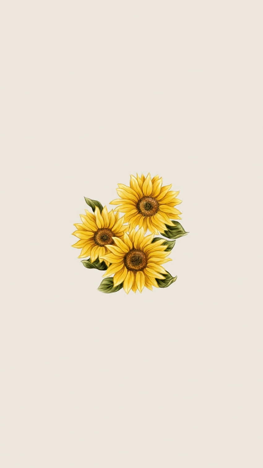 Sunflower Aesthetic iPhone Wallpaper