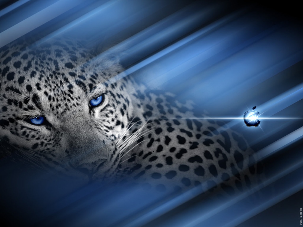 Mac Os X Leopard Imagen De Foto