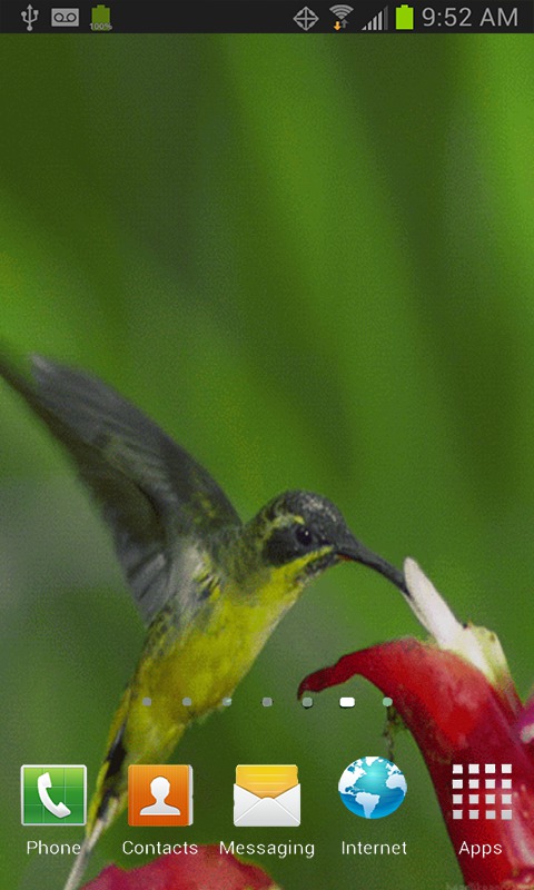 Hummingbird Live Wallpaper For Your Android Phone