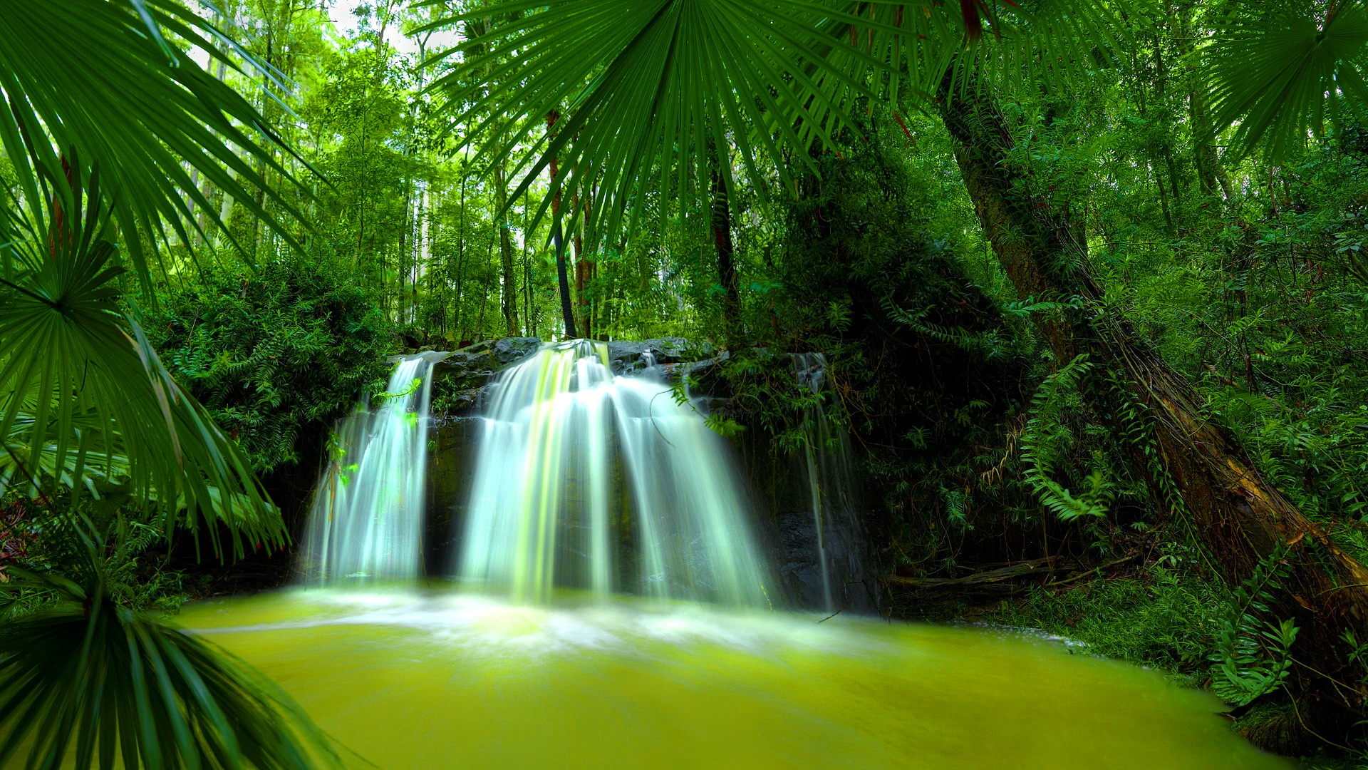 Beautiful Nature Waterfall Green Forest HD Wallpaper