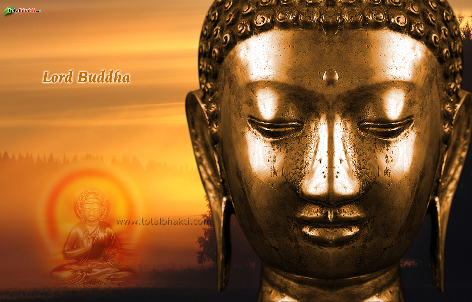 Wallpaper Lord Buddha Hungama All Collections