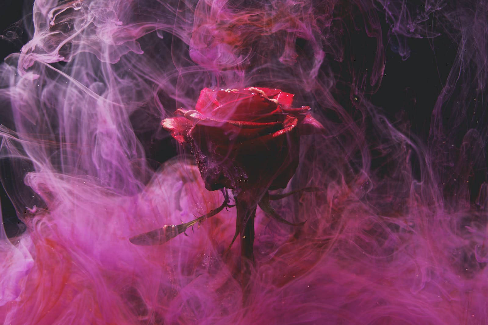 Red Baddie Wallpaper