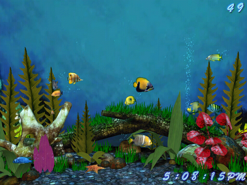 Moving Fish Tank Background Aquarium 3d Screensaver