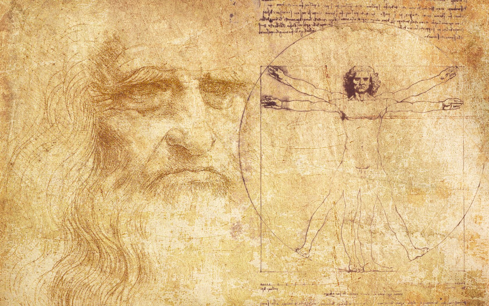 Leonardo Da Vinci Man Proportions World Wallpaper Collection