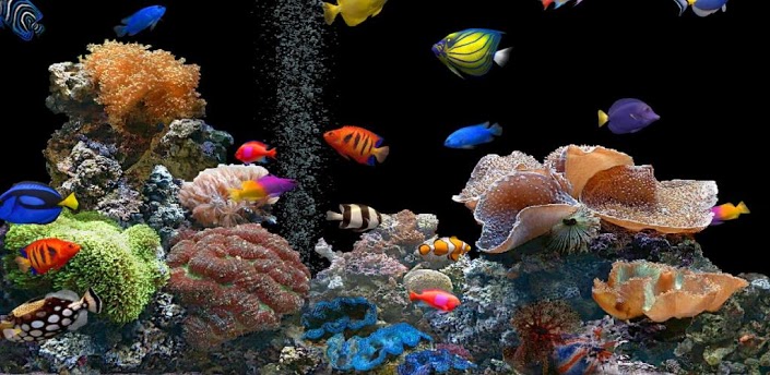 Techclones Ocean HD Live Wallpaper For Android Smartphone And Tablet