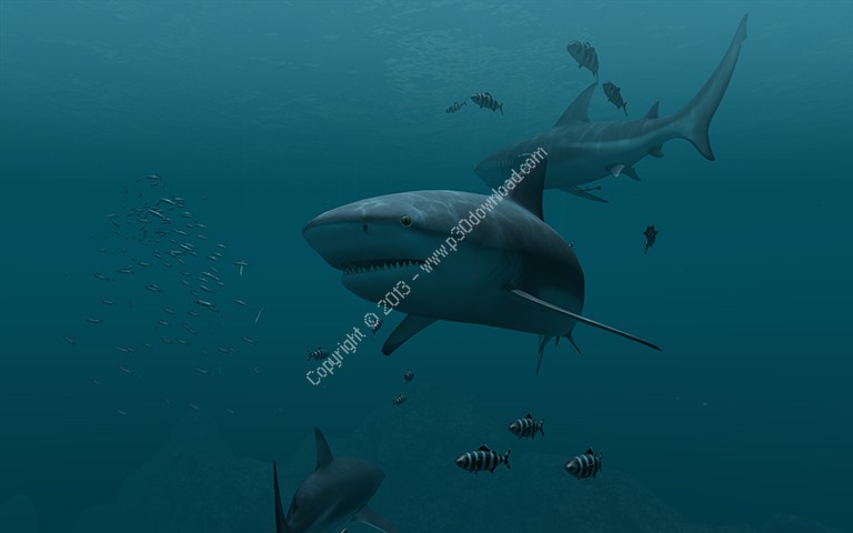 Sharks 3d Screensaver And Animated Wallpaper V1 Build