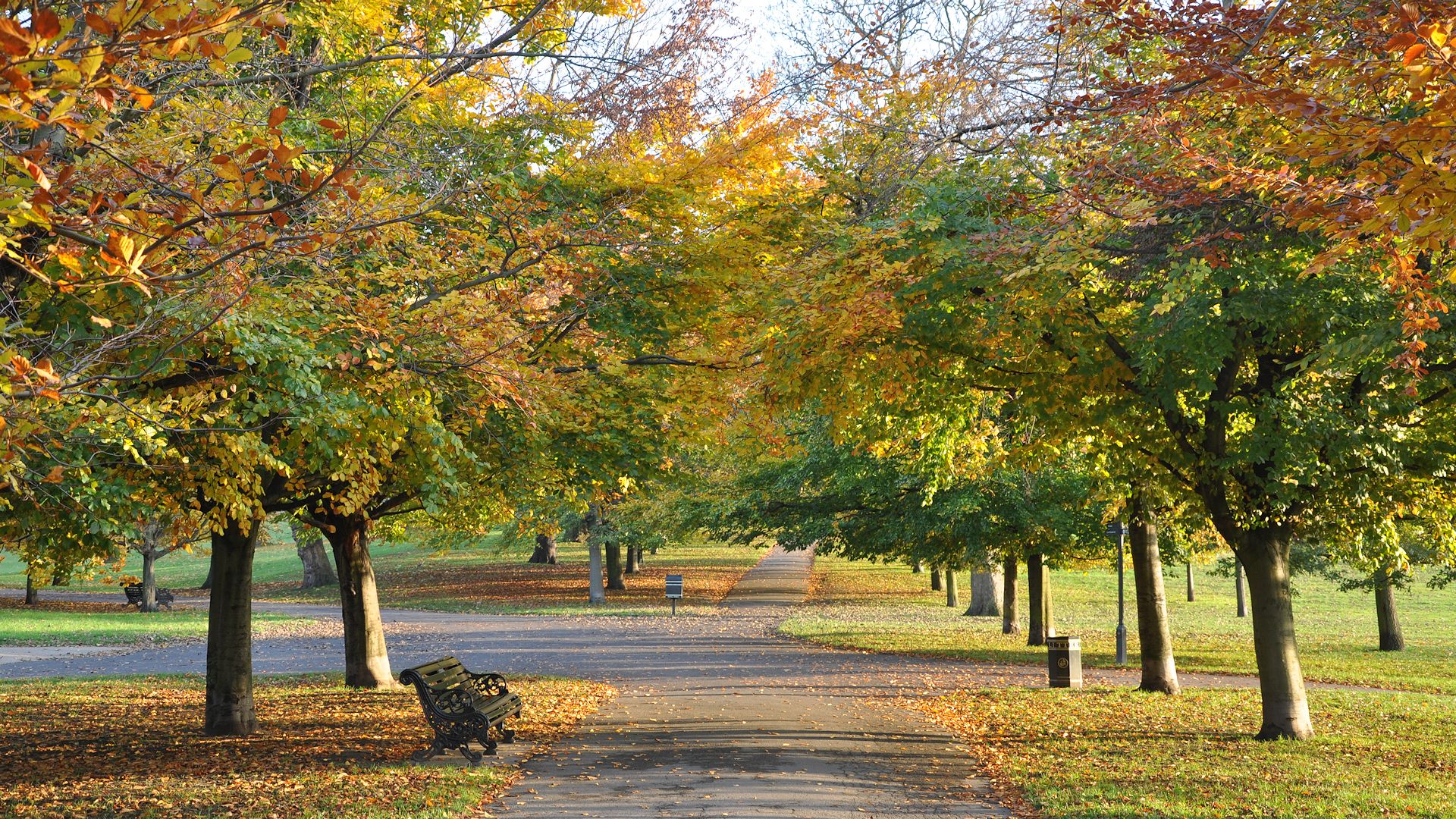 Autumn Nature Wallpaper