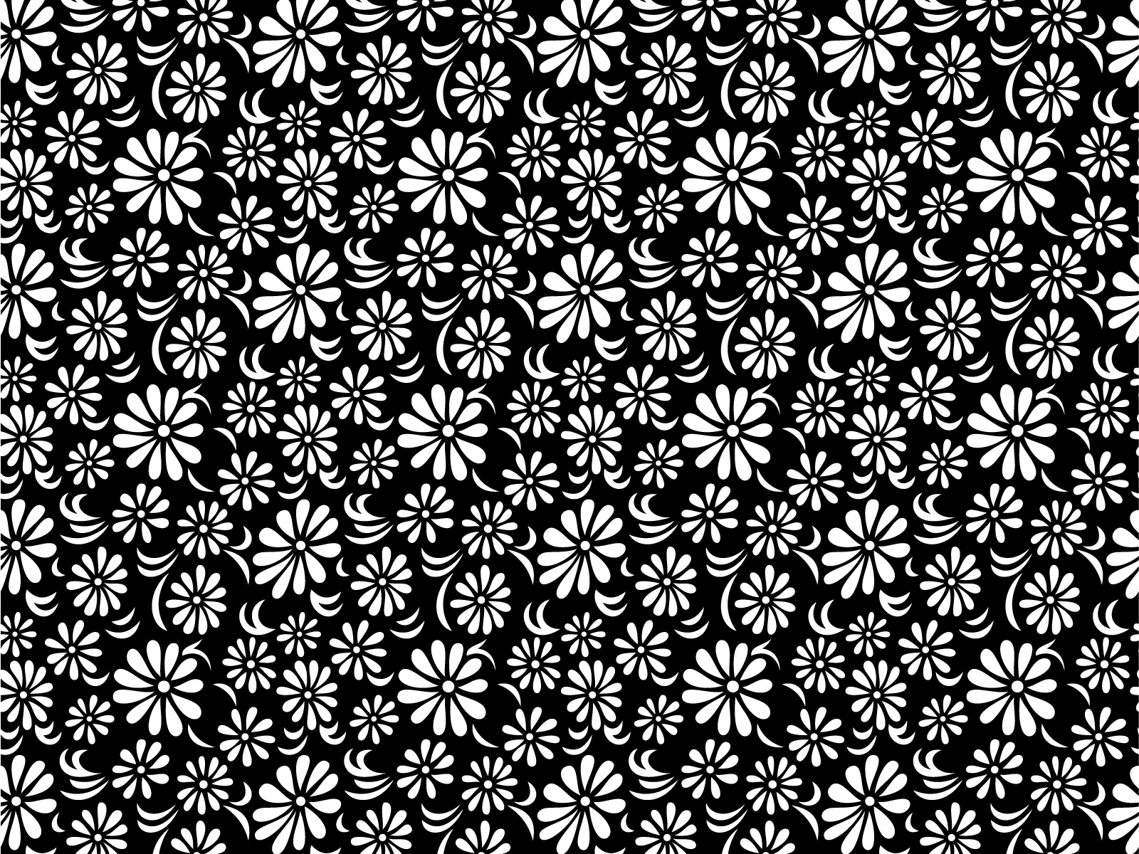 Black and White Floral Wallpaper Desktop h752080