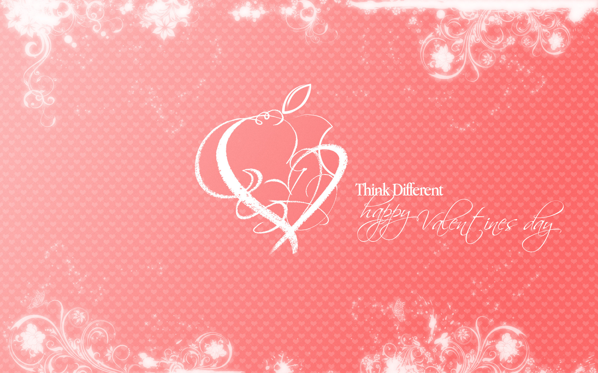 Apple February Valentines Day HD Wallpaper Theme Bin