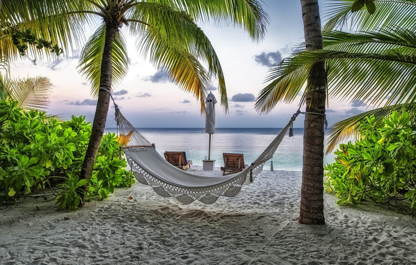 Wallpaper Beach Summer Palm Trees Stay Hammock The Maldives
