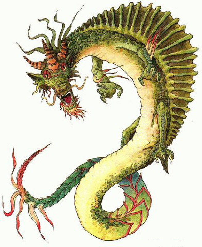 Dragon Chinese Head Wallpaper Symbol