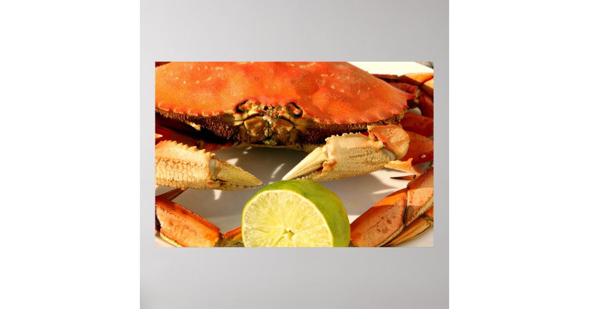 Dungeness Crab Poster Wallpaper