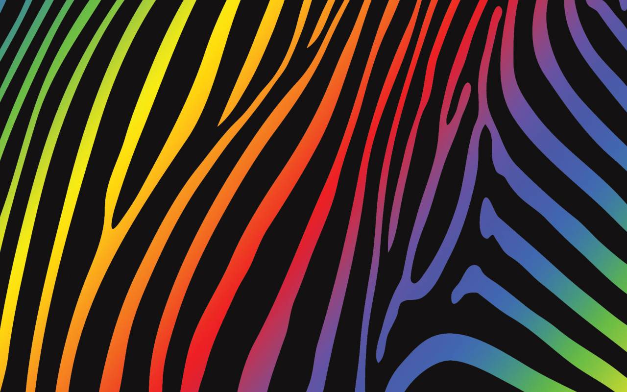 rainbow zebra stripes