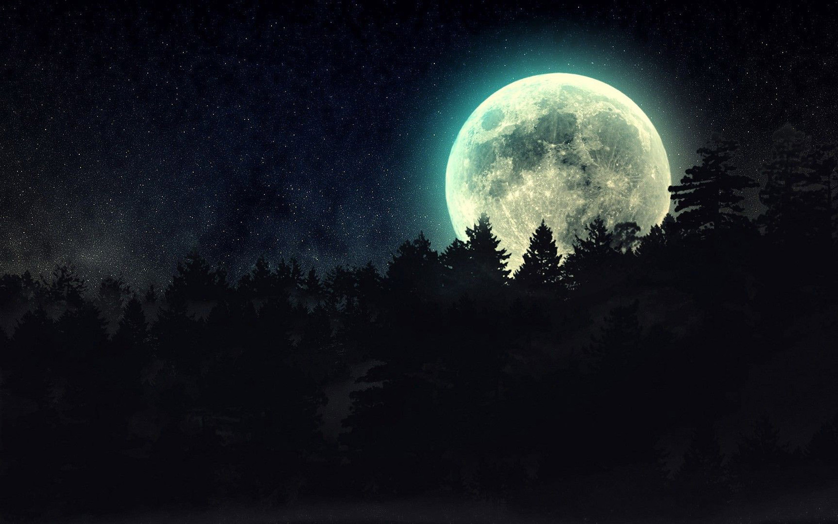 Full Moon Beyond The Pines Wallpaper