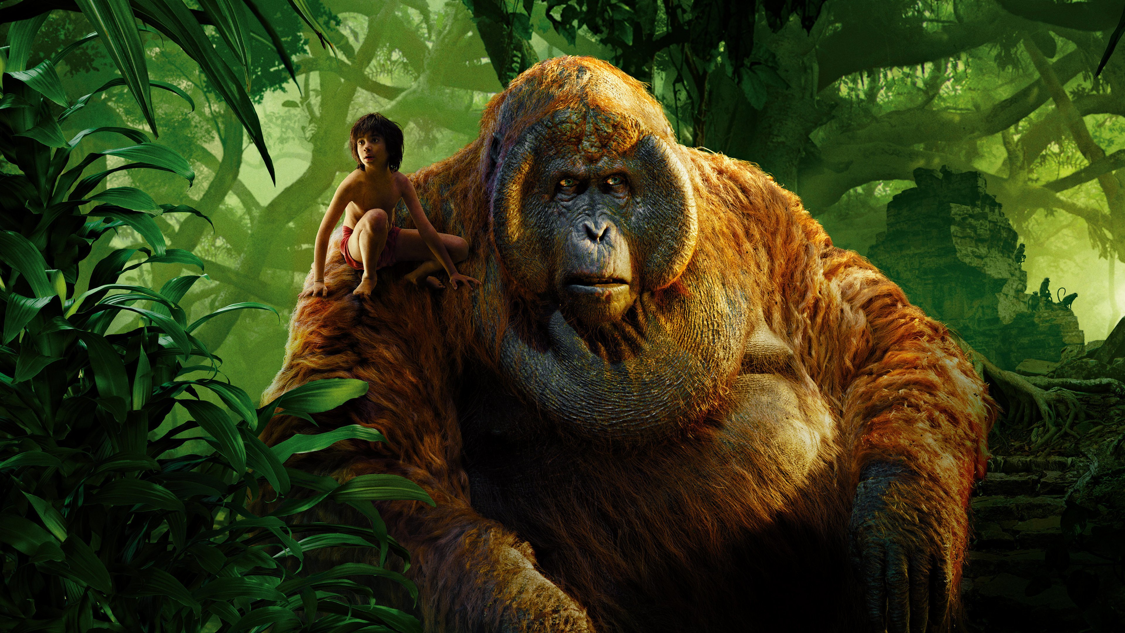 The Jungle Book 4k Ultra HD Wallpaper