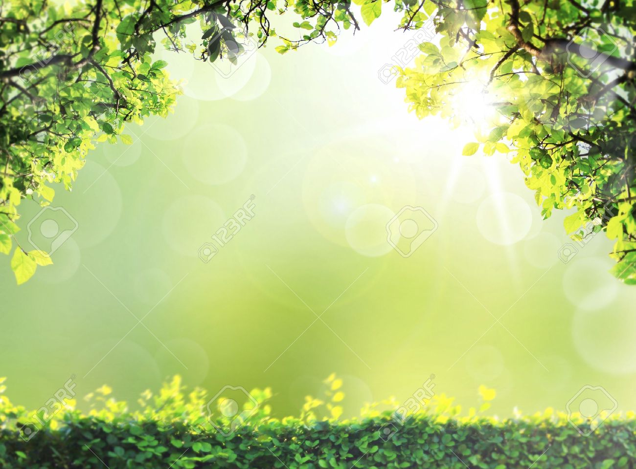 Natural Green Spring Or Summer Season Abstract Nature Background