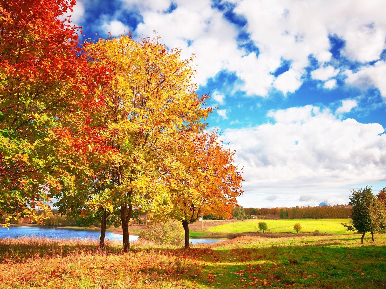 Autumn Landscape Desktop Wallpaper