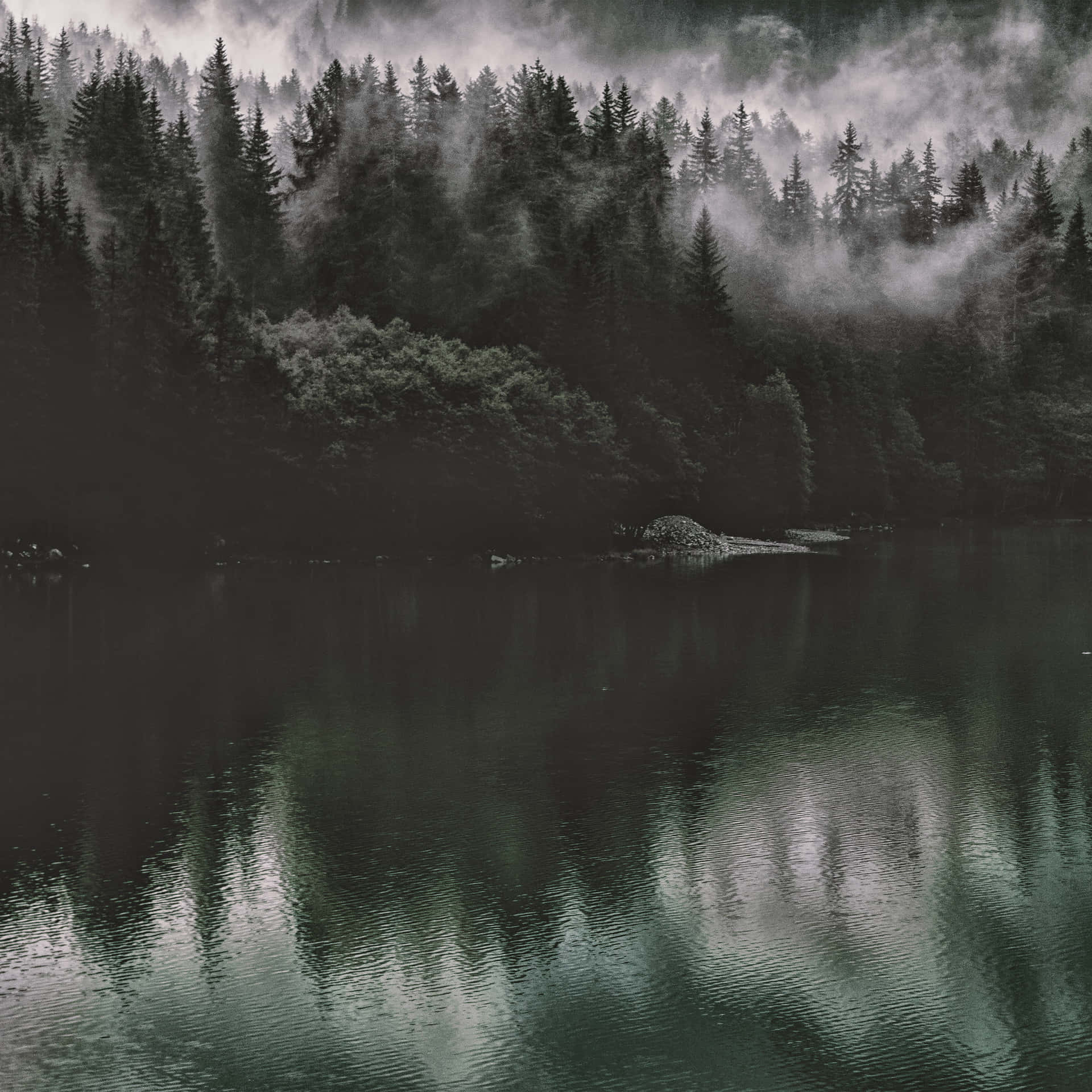 Dark Nature Wallpaper