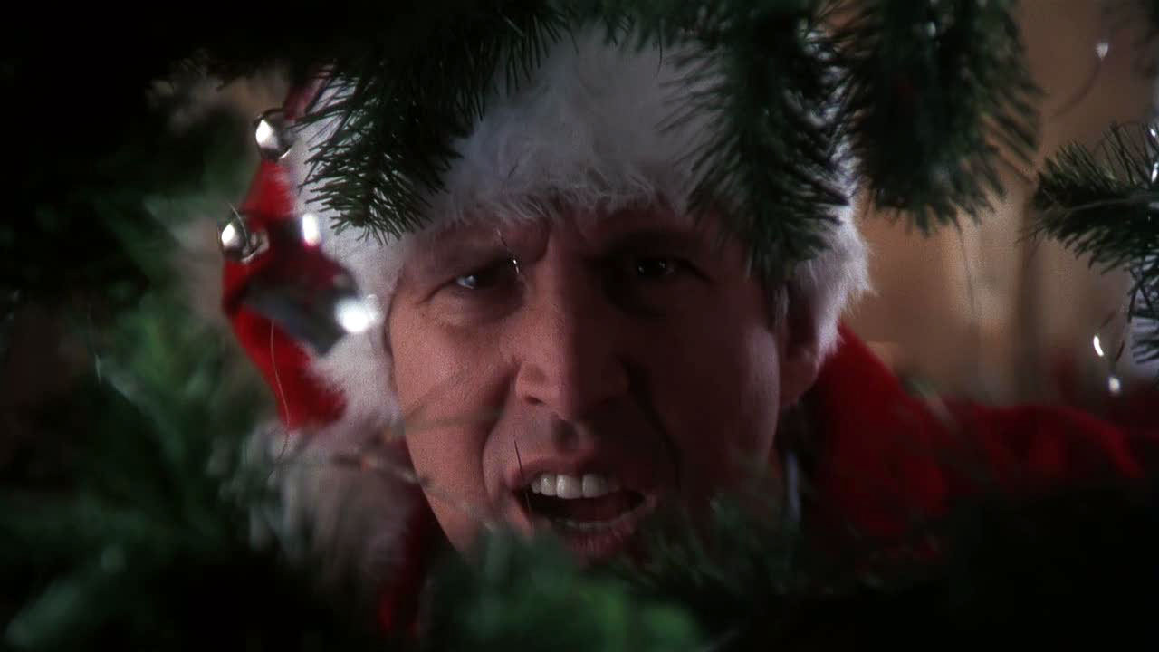 National Lampoon S Christmas Vacation Chevy Chase Fanclub Image