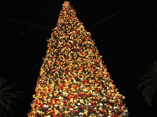 HD Christmas Tree Wallpaper Enjoy
