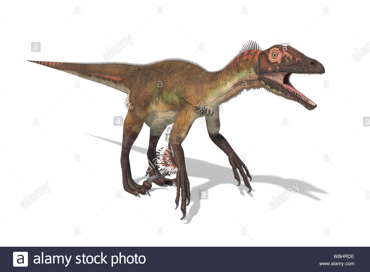Utahraptor Dinosaur Against White Background Illustration These