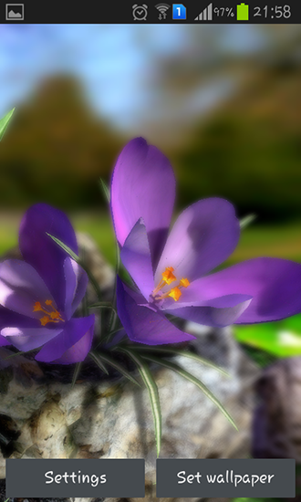 Nature Live Spring Flowers 3d