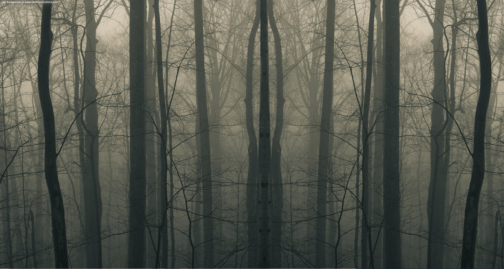 Creepy Forest Wallpaper Image Pictures Becuo