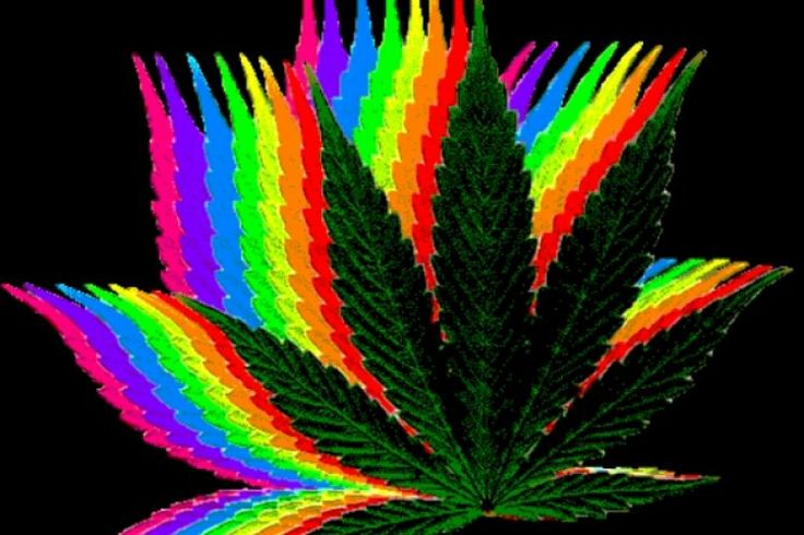 Crazy Weed Background Wallpaper Trippy