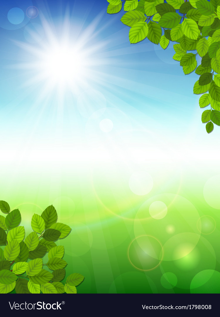 Summer Background With Green Leaves Royalty Vector