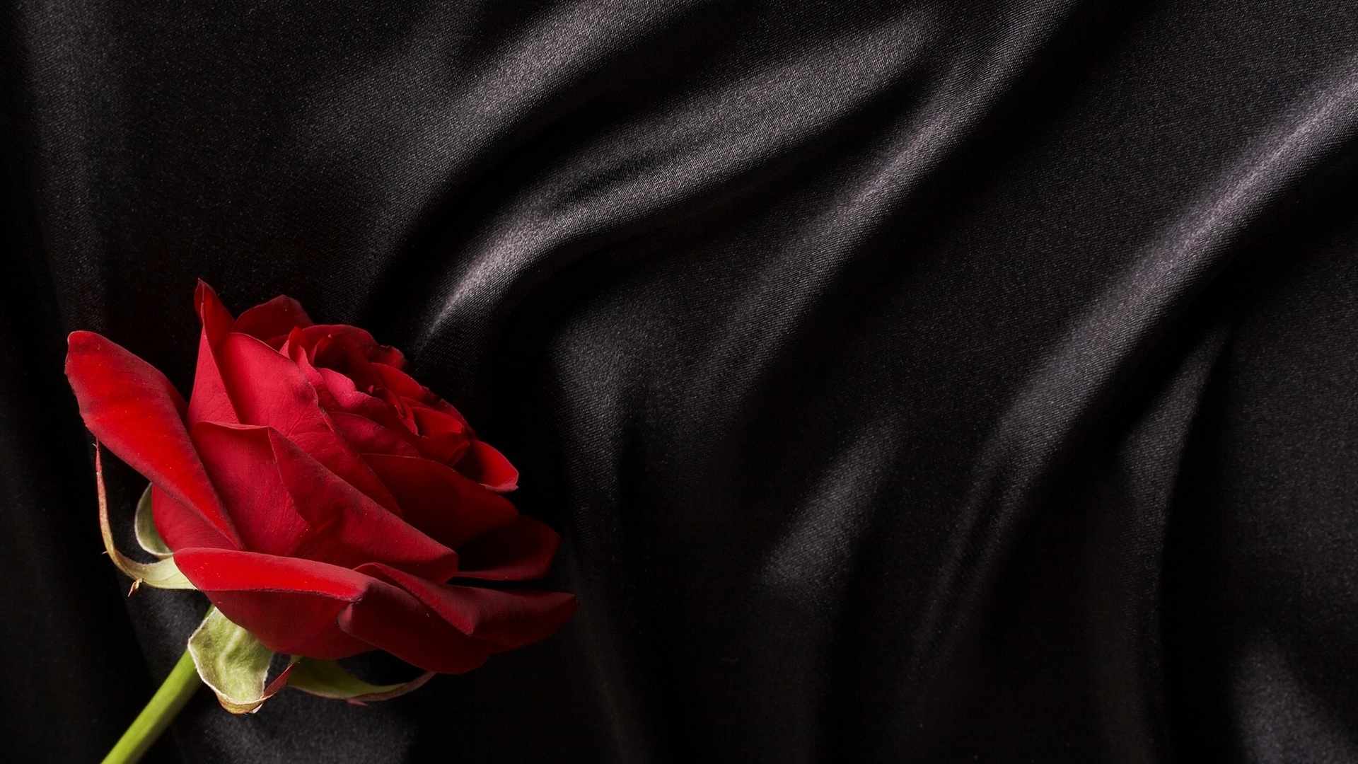 Red Rose On Black Silk Jpg