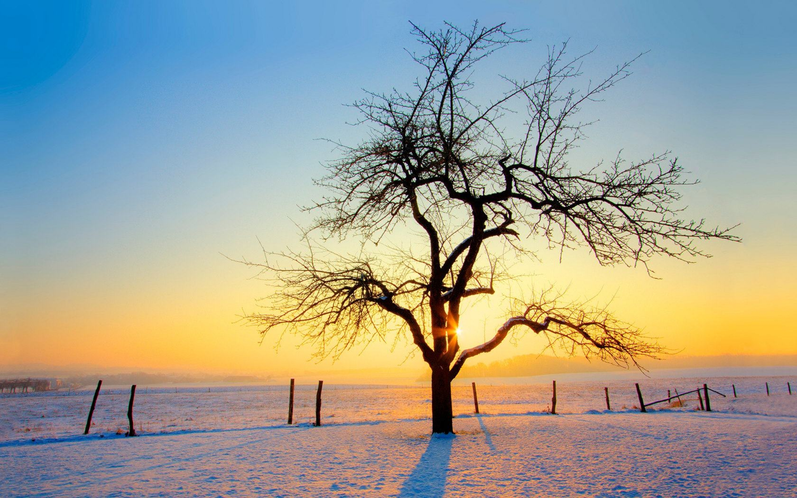 Winter Sunrise Landscape Wallpaper Scenery